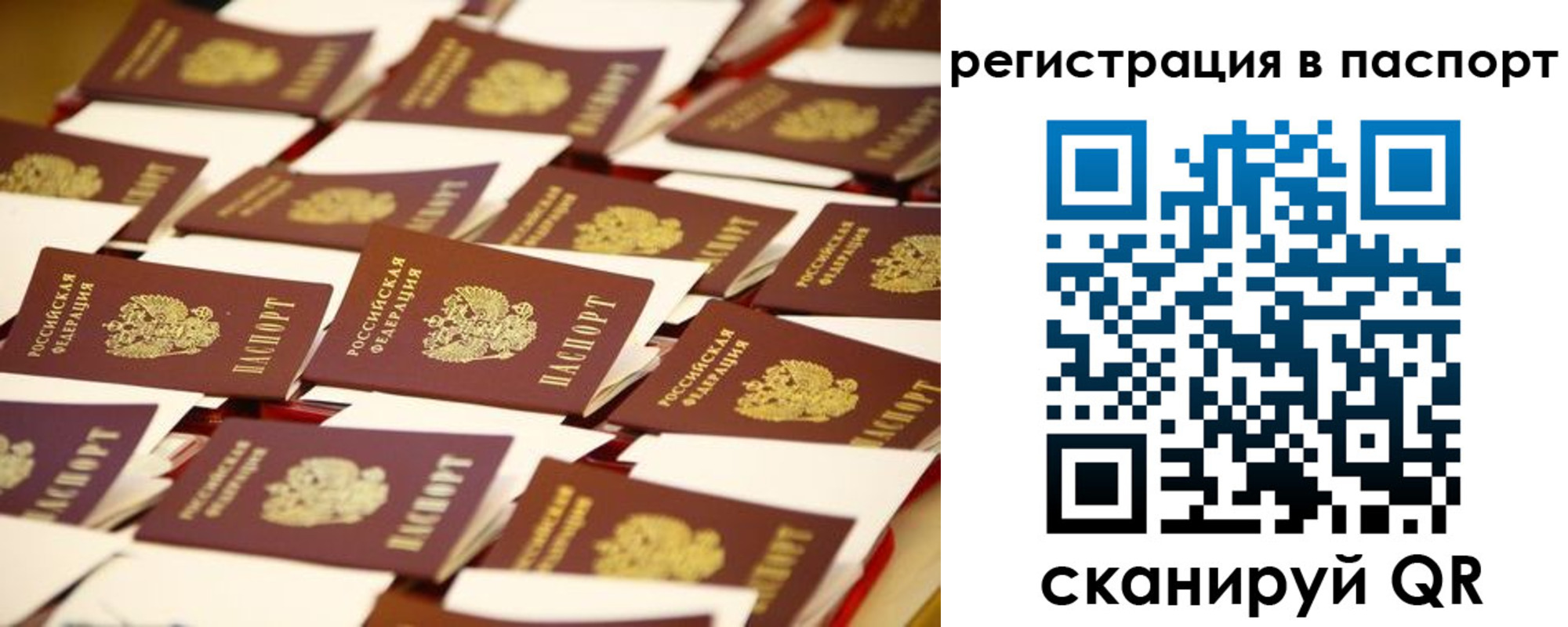 прописка гарантия в Венёве
